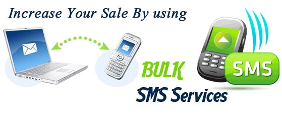 bulk sms service in pune