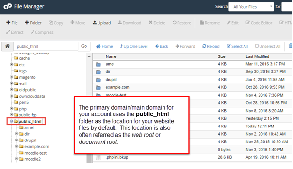 how to upload robots.txt file